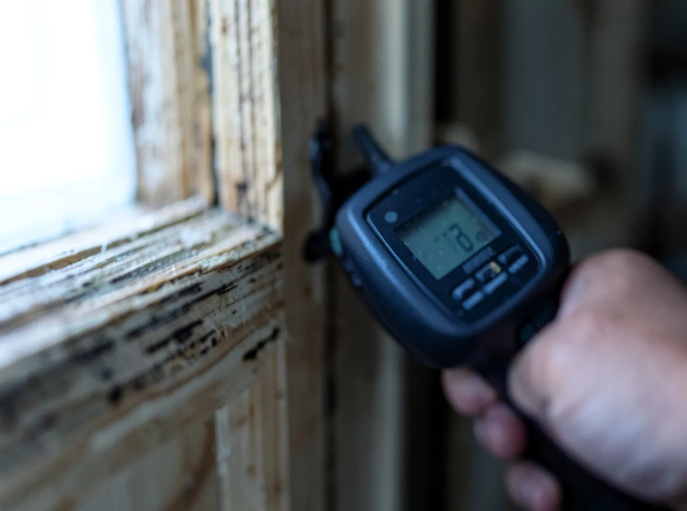 Moisture Inspection And Documentation in Rutherford, TN